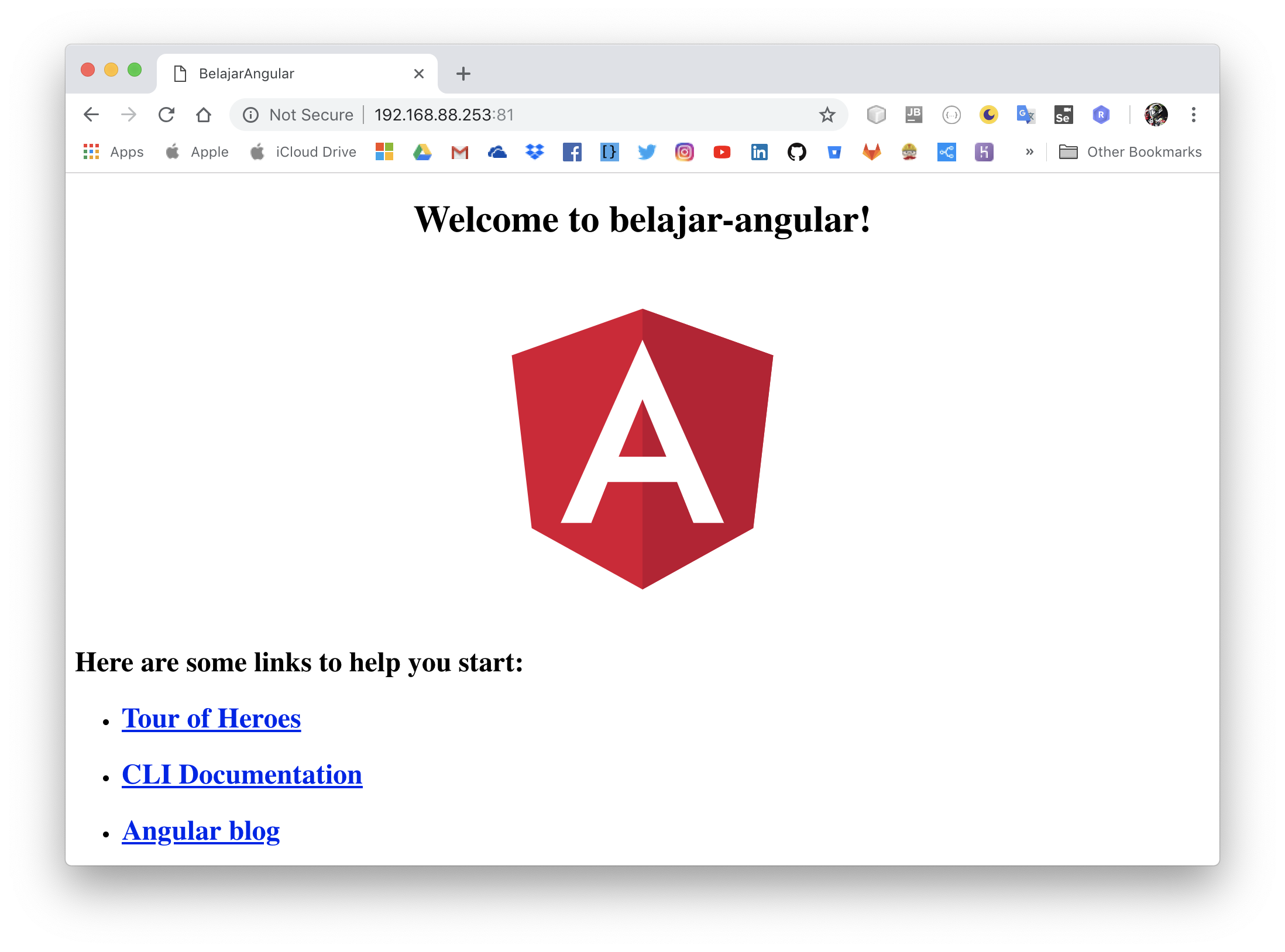 angular deployed into apache2