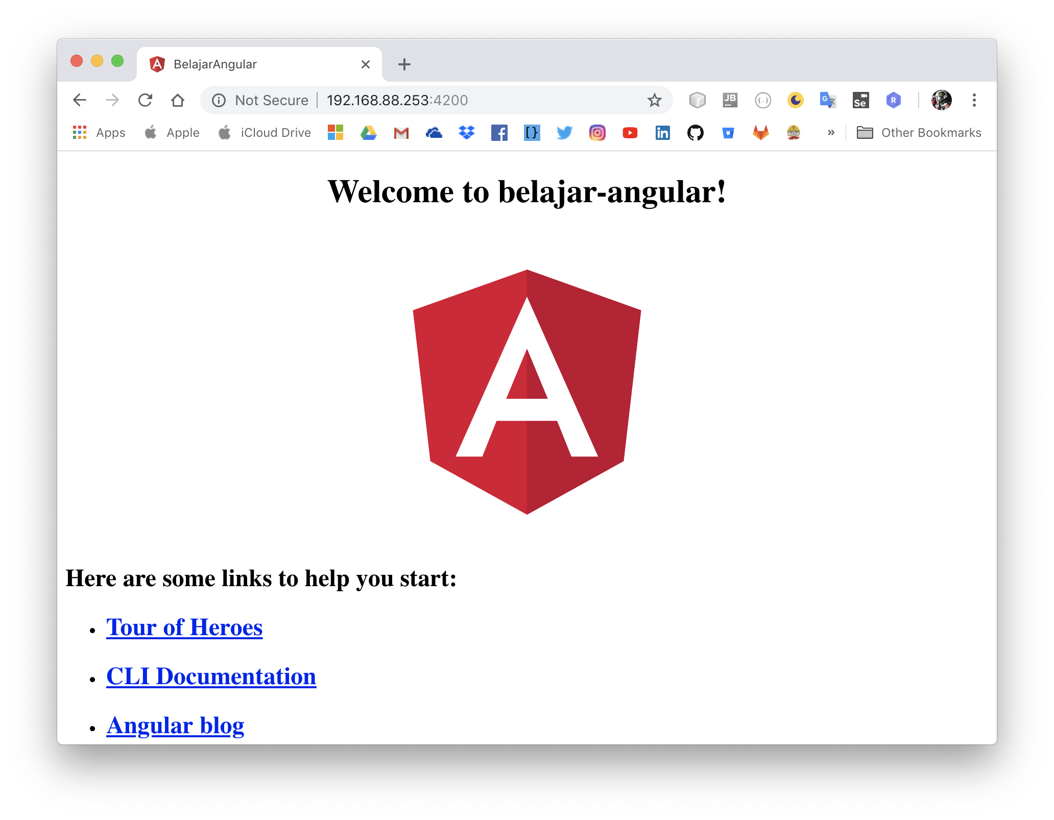 angular sample project