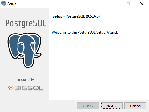 Starting install PostgreSQL