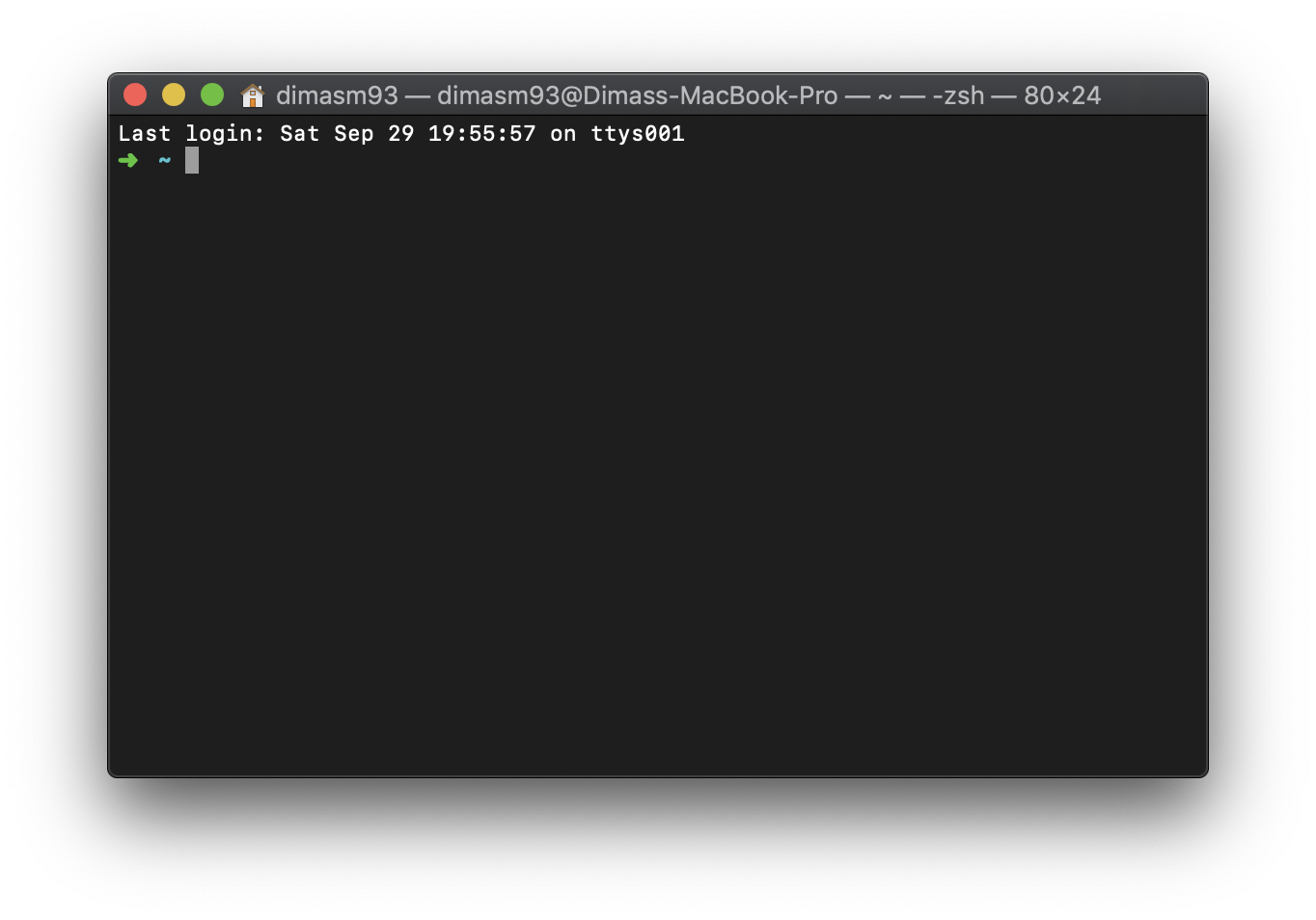 terminal zsh