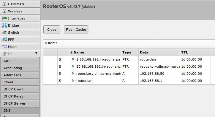 dns static cache