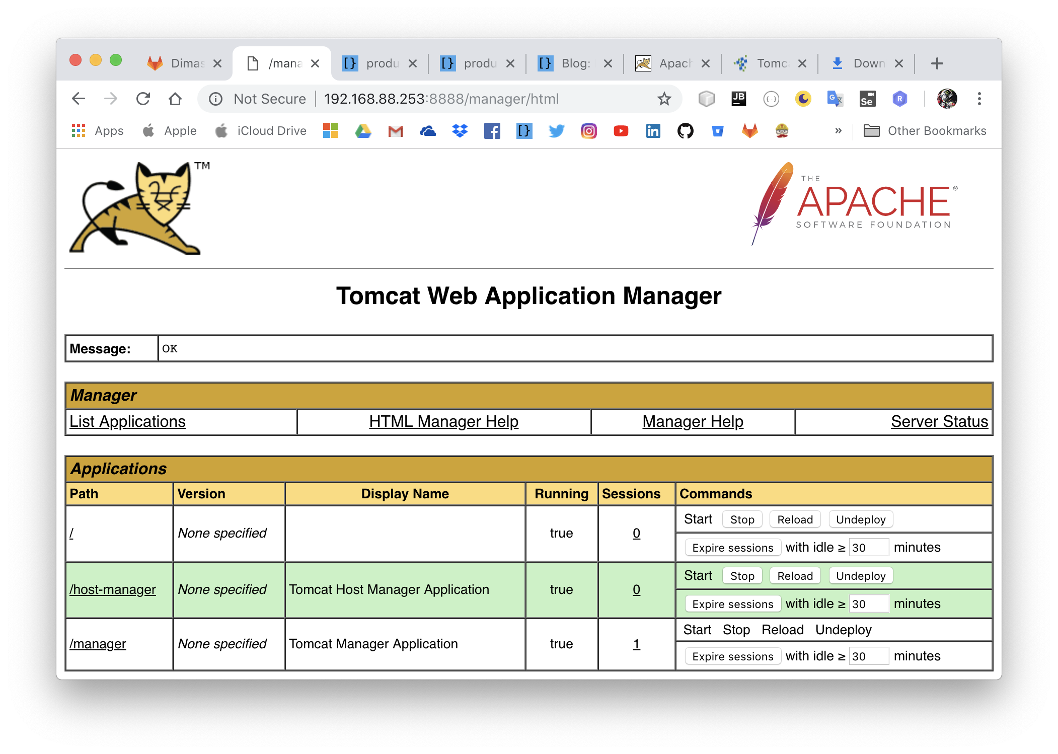 tomcat manager